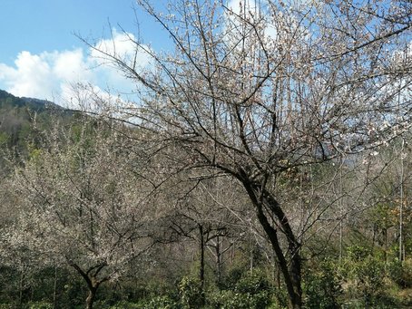 资讯2 资讯2