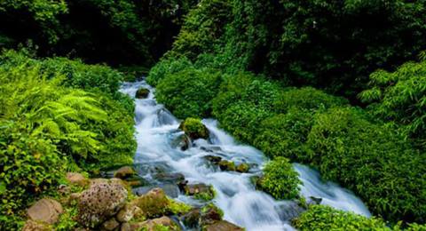 黑鱼河