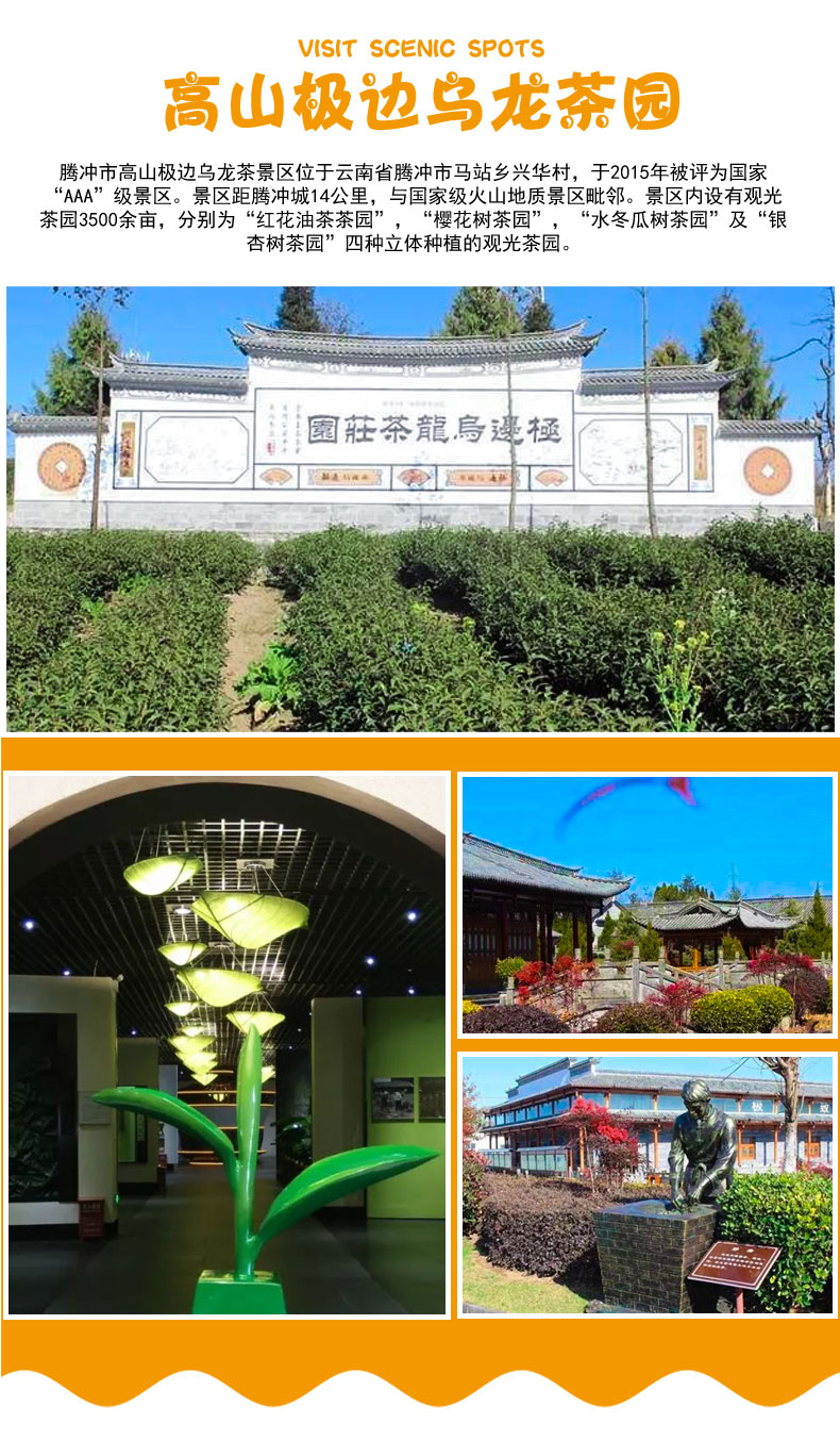 高山极边乌龙茶园