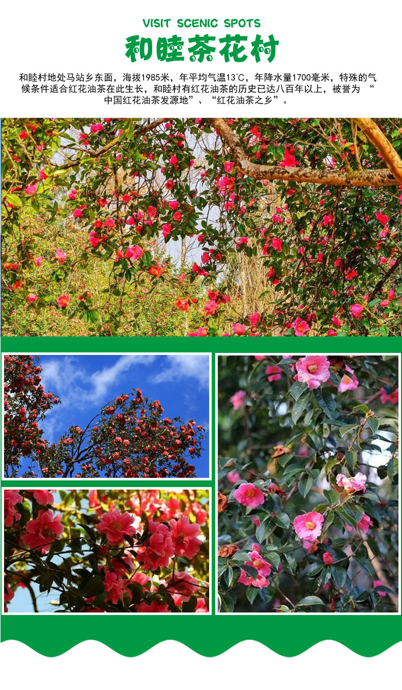 和睦茶花村
