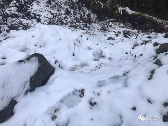 20190121_152150_034