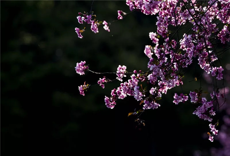 20190321_085315_010
