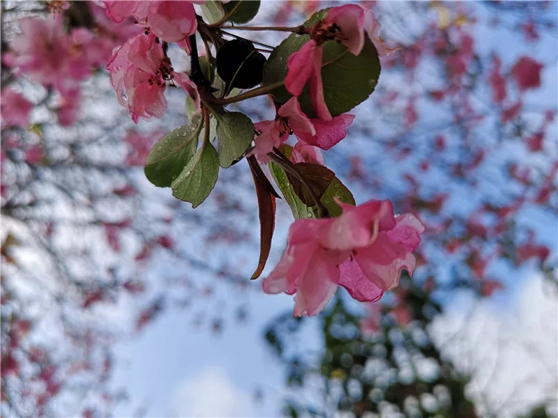 20190321_085315_002