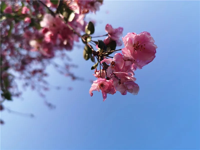 20190321_085315_023