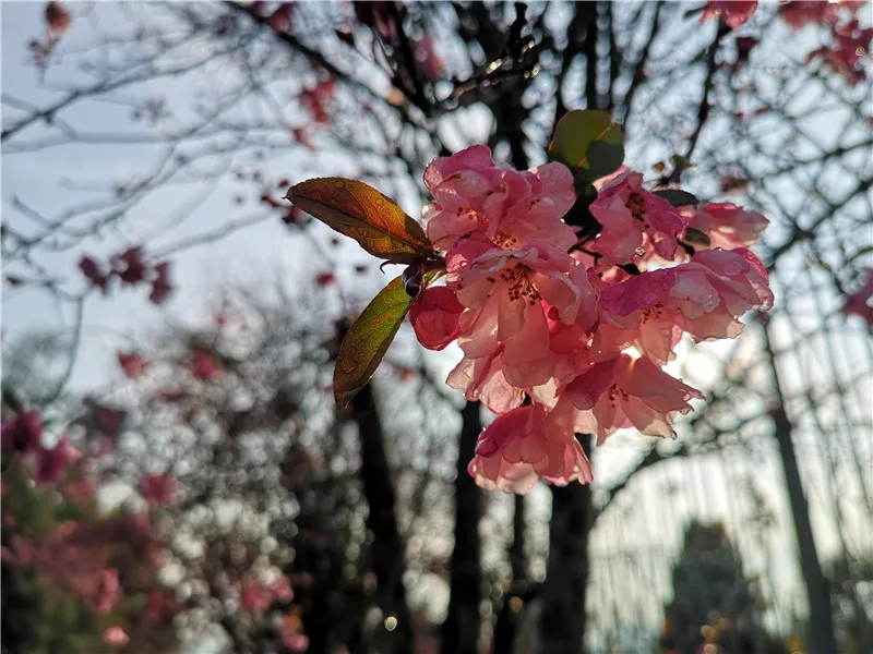 20190321_085315_032
