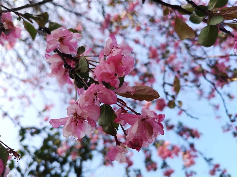 20190321_085315_022