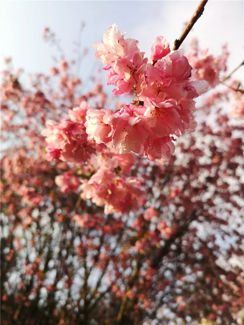 20190321_085315_004