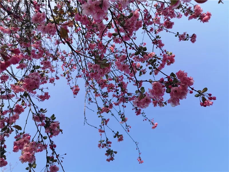 20190321_085315_026