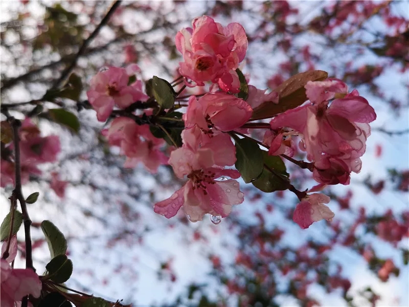 20190321_085315_033