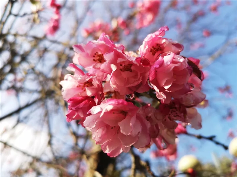 20190321_085315_028