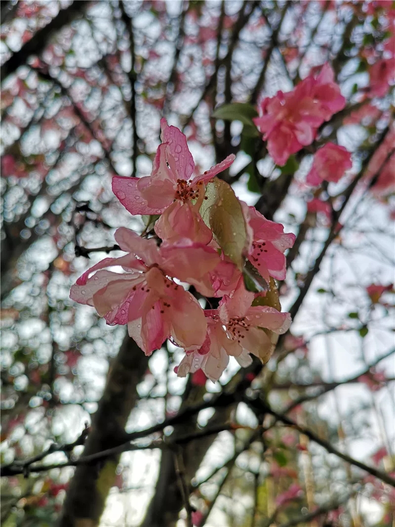 20190321_085315_019