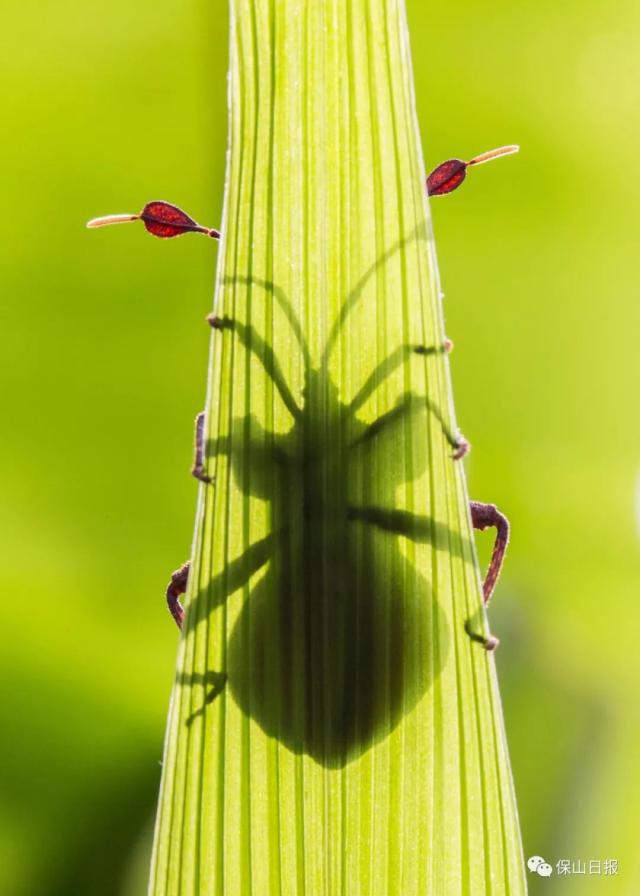 12 12
