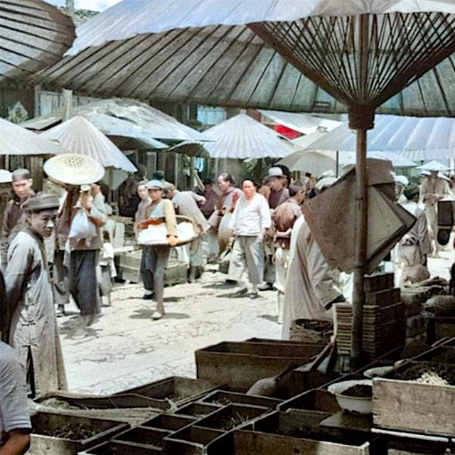 上1 上1