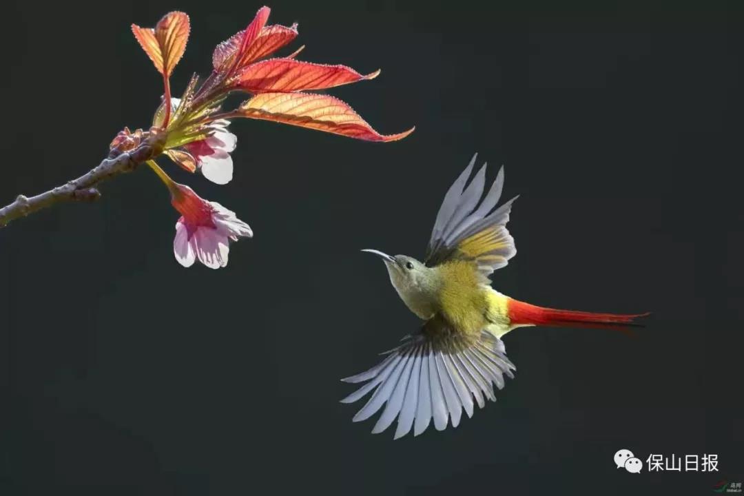 微信图片_20191223085417